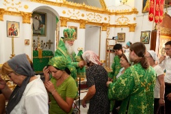 ����������� 226